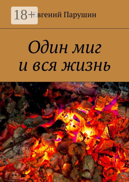 Книга Евгений Парушин Один миг и вся жизнь