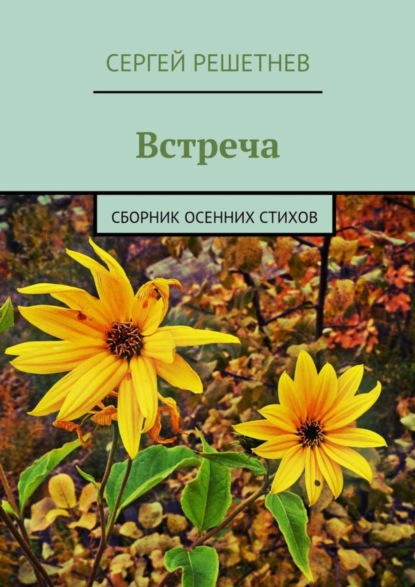 Книга Сергей Решетнев Встреча