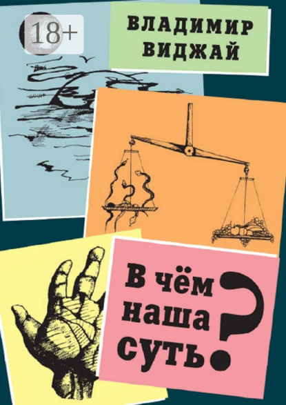 Книга Владимир Виджай В чём наша суть?