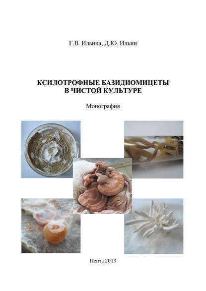 Книга Д. Ю. Ильин, Дмитрий Юрьевич Ильин, Галина Викторовна Ильина Ксилотрофные базидиомицеты в чистой культуре