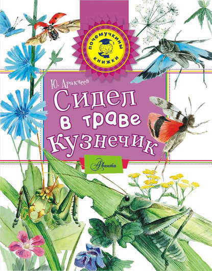 Книга Юрий Аракчеев, Юрий Сергеевич Аракчеев, Ольга Э. Валеева Сидел в траве кузнечик