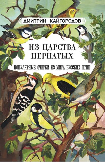 Книга Дмитрий Кайгородов, Дмитрий Никифорович Кайгородов Из царства пернатых. Популярные очерки из мира русских птиц