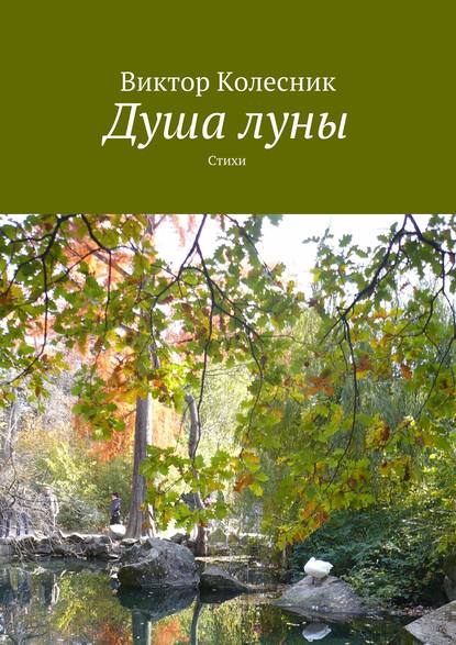 Книга Виктор Колесник Душа луны