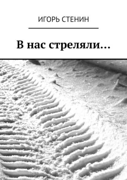 Книга Игорь Стенин В нас стреляли…