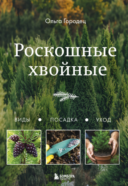 Книга БОМБОРА, Ольга Городец, Ольга Владимировна Городец Роскошные хвойные. Виды, посадка, уход