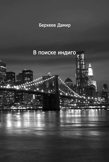 Книга Дамир Берхеев, Дамир Энверович Берхеев В поиске Индиго