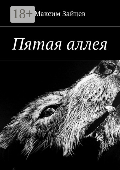 Книга Максим Зайцев Пятая аллея