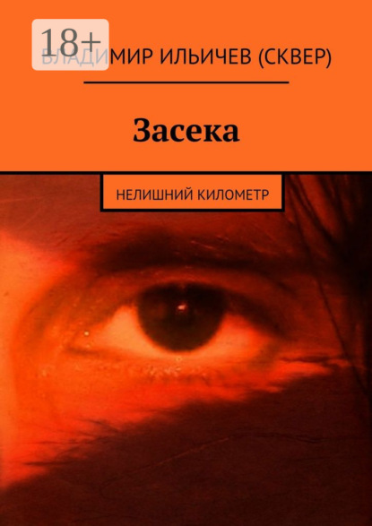 Книга Владимир Ильичев (Сквер) Засека. Нелишний километр