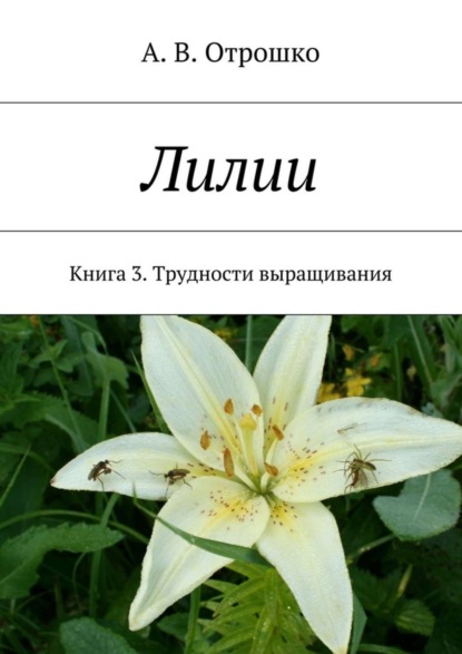 Книга А. В. Отрошко Лилии