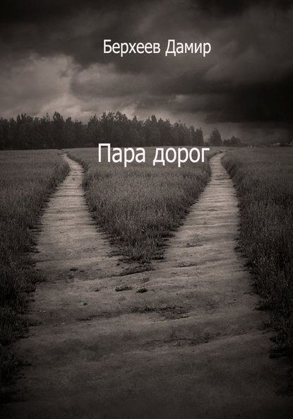 Книга Дамир Берхеев, Дамир Энверович Берхеев Пара дорог