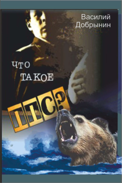 Книга Василий Добрынин, Василий Евстафьевич Добрынин Что такое ППС?