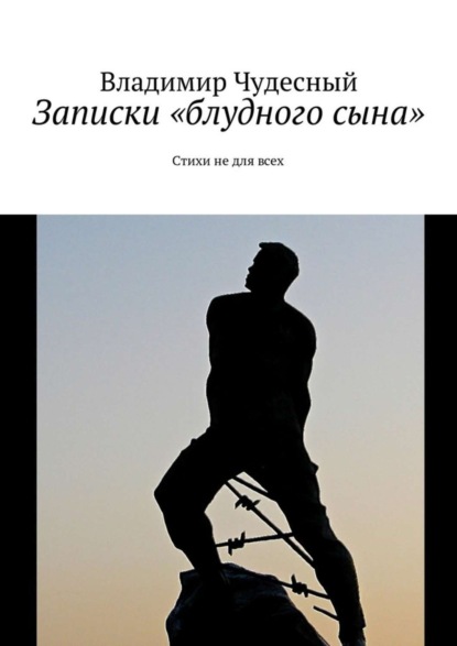 Книга Владимир Чудесный Записки «блудного сына». Стихи не для всех