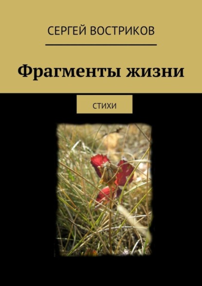Книга Сергей Востриков Фрагменты жизни. стихи