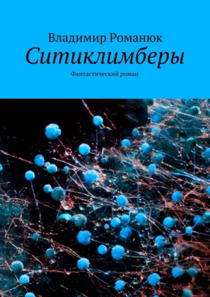 Книга Владимир Степанович Романюк Ситиклимберы. Фантастический роман