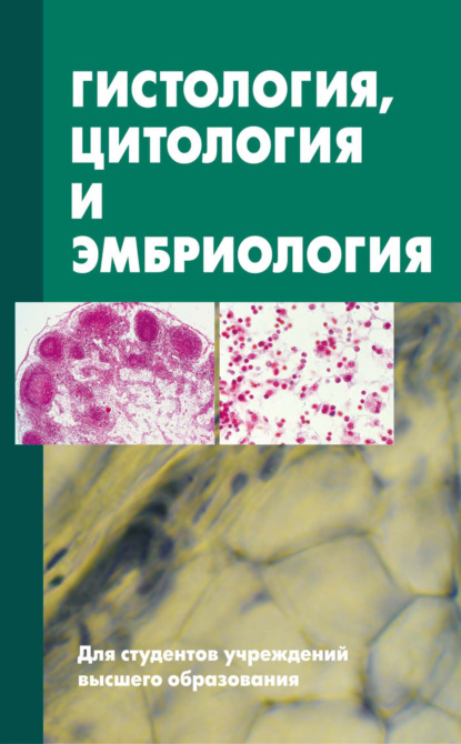 Книга Лариса Андреевна Можейко, Ярослав Романович Мацюк, Сергей Зиматкин, Сергей Михайлович Зиматкин, Елена Чеславовна Михальчук Гистология, цитология и эмбриология