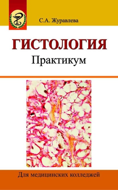 Книга Светлана Журавлева, Светлана Анатольевна Журавлева Гистология. Практикум