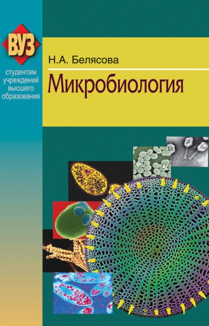 Книга Наталья Александровна Белясова, Наталья Белясова Микробиология