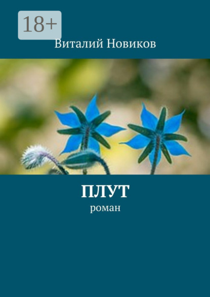 Книга Виталий Новиков Плут. роман