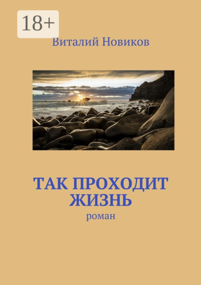 Книга Виталий Новиков Так проходит жизнь. роман