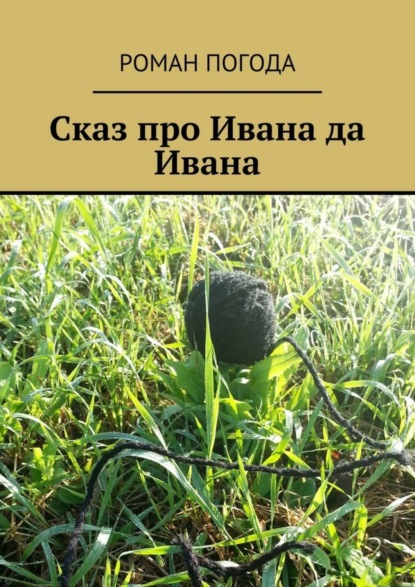 Книга Роман Иванович Погода Сказ про Ивана да Ивана