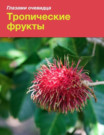 Книга Екатерина Пугачева, Екатерина В. Пугачёва, Сергей О. Серебряков Тропические фрукты