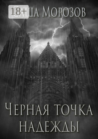 Книга Саша Морозов Черная точка надежды