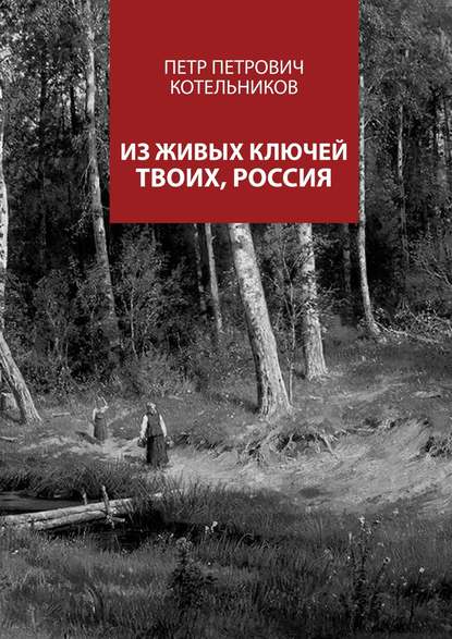 Книга Петр Петрович Котельников Из живых ключей твоих, Россия