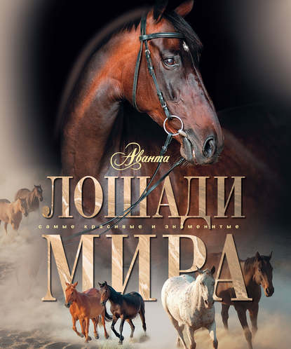 Книга Карина Константиновна Кищук, Галина Федоровна Онуфриенко, Карина Кищук Лошади мира