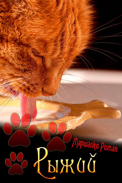 Книга Роман Маршалко Рыжий