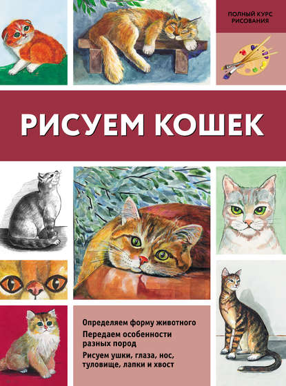 Книга Нина Щербакова Рисуем кошек