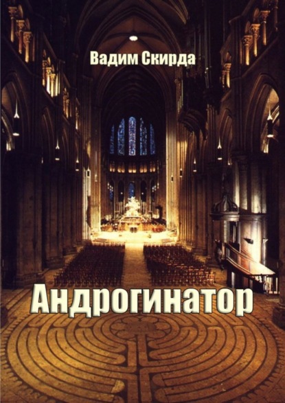 Книга Вадим Скирда Андрогинатор