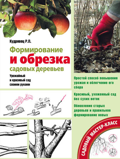 Книга Роман Кудрявец, Роман Петрович Кудрявец Обрезка садовых деревьев. Экспертное руководство по созданию плодового сада
