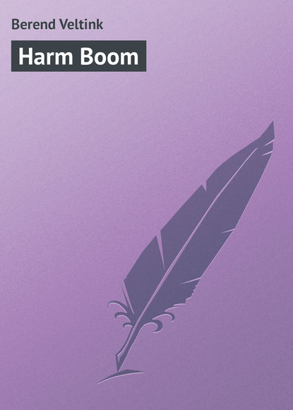 Книга Berend Veltink Harm Boom
