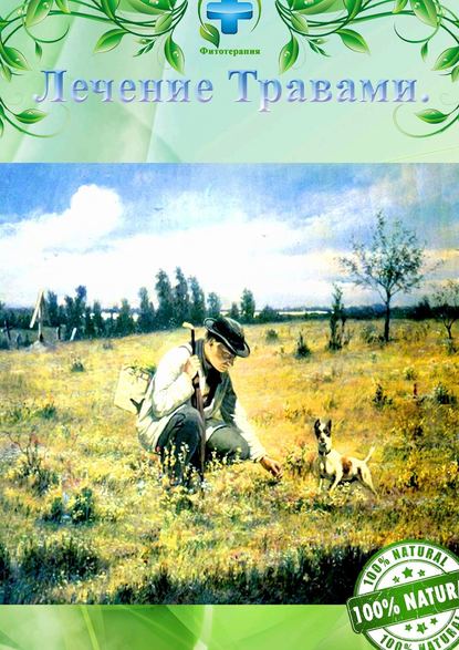 Книга Алишер Жаббарович Абдалиев Лечение травами. Фитотерапия