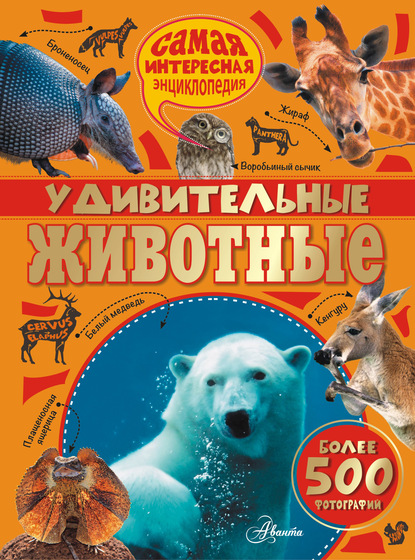 Книга Наталья Викторовна Балеева, Андреа Веллер-Эссерс Удивительные животные