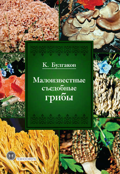 Книга Касим Галиевич Булгаков, К. Г. Булгаков Малоизвестные съедобные грибы