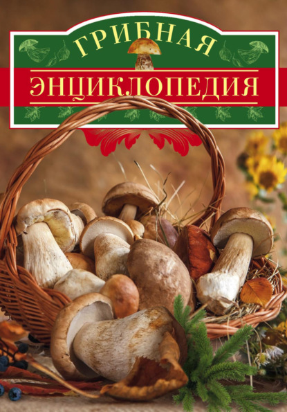 Книга Вадим Арчер Грибная энциклопедия