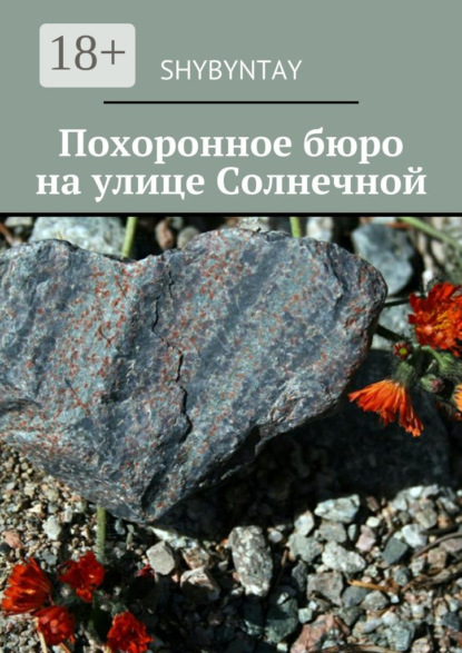 Книга shybyntay,  shybyntay Похоронное бюро на улице Солнечной