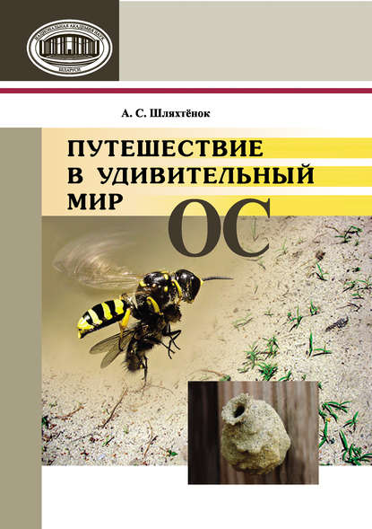 Книга А. С. Шляхтенок, Александр Сергеевич Шляхтенок Путешествие в удивительный мир ос