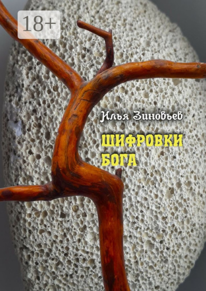 Книга Илья Зиновьев ШИФРОВКИ БОГА