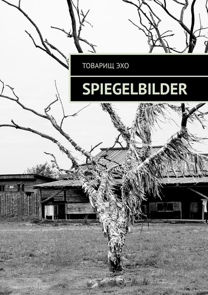 Книга Товарищ Эхо,  Товарищ Эхо Spiegelbilder