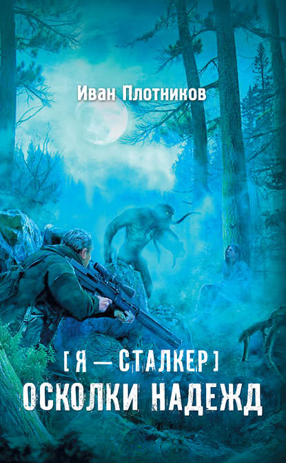 Книга Иван Плотников Осколки надежд