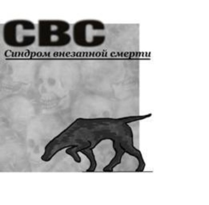 Книга Бабулин Константин Леонидович СВС (Синдром Внезапной Смерти)
