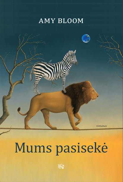 Книга Amy Bloom, Lina Krutulytė-Kriščiūnė Mums pasisekė