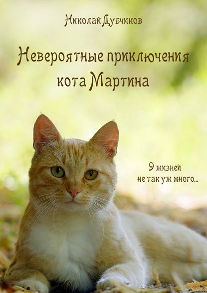Книга Николай Дубчиков Невероятные приключения кота Мартина