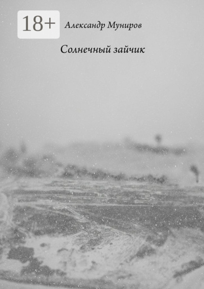Книга Александр Муниров Солнечный зайчик