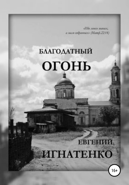 Книга Евгений Игнатенко Благодатный огонь