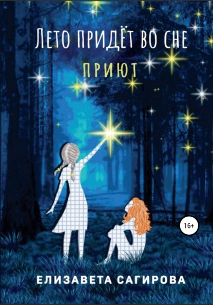 Книга Елизавета Сагирова Лето придёт во сне. Приют