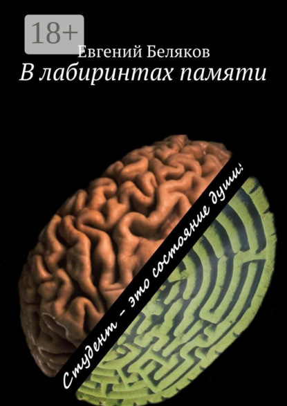 Книга Евгений Александрович Беляков В лабиринтах памяти. Студент – это состояние души!