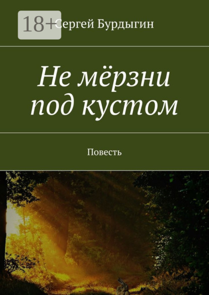 Книга Сергей Бурдыгин Не мёрзни под кустом. Повесть